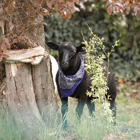 Neu Umgebaute Seefried