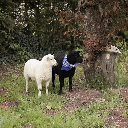 Neu Umgebaute Seefried Appartement *