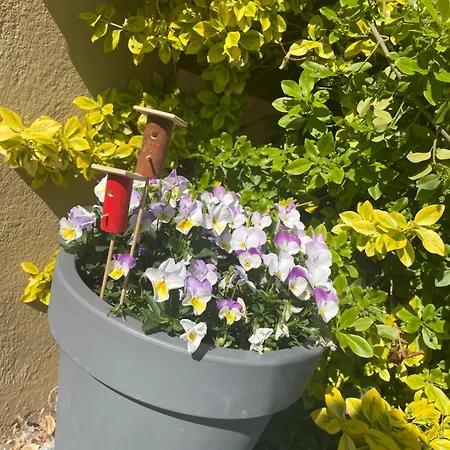 Appartement Neu Umgebaute Seefried *