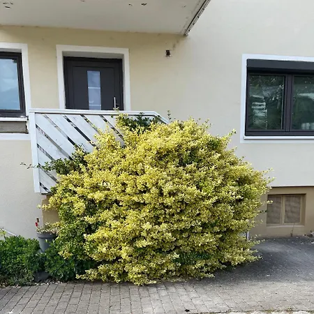 Neu Umgebaute Seefried